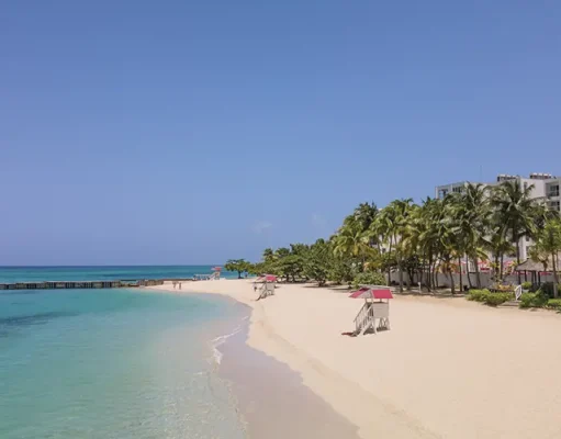 Brew-tiful Moments Await at Jamaica’s Blue Mountain Coffee Festival!