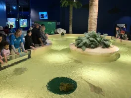 families visiting the Daytona Aquarium and Rainforest Adventure