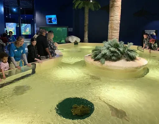 Daytona Aquarium and Rainforest Adventure Comes to Life families visiting the Daytona Aquarium and Rainforest Adventure