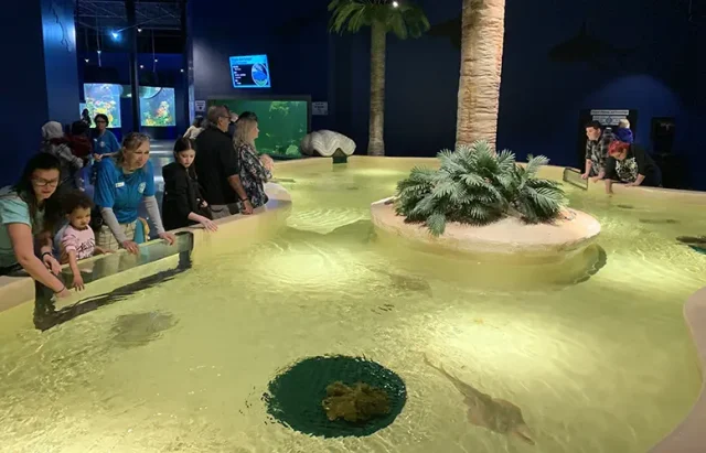 families visiting the Daytona Aquarium and Rainforest Adventure