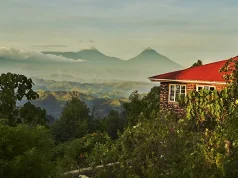 Empowering Communities and Protecting Wildlife: The Transformational Journey of Eco-Conscious Travel with Nkuringo Safaris