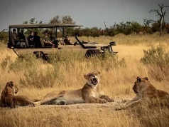 Hot new openings May 2024 – Atzaro Okavango launches in Botswana