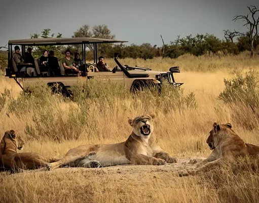 Hot new openings May 2024 – Atzaro Okavango launches in Botswana