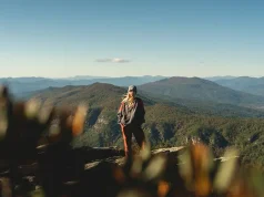 Exploring North Carolina’s Budding Hockey and Betting Culture