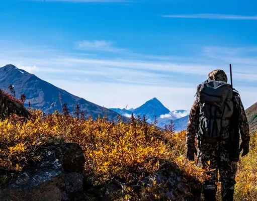 Embarking on the Ultimate Adventure: The Thrill and Essence of Adventure Hunting