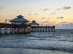 Have Fun In Florida: Amazing Ideas