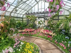 Orchid Show Officially Opens at the Niagara Parks Floral Showhouse