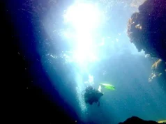 Plunge into Paradise and Explore Anguilla’s Underwater Haven