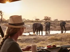 Classic Vacations™ Launches New Portfolio in Africa