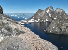 Viking Expedition Team Announces Discovery Of New Penguin Colony In Antarctica