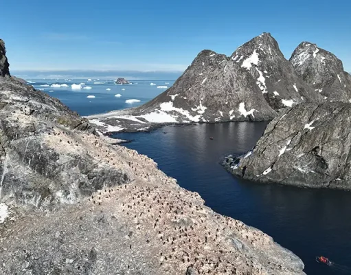 Viking Expedition Team Announces Discovery Of New Penguin Colony In Antarctica