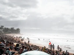 Want To Travel With The Surf Pros?