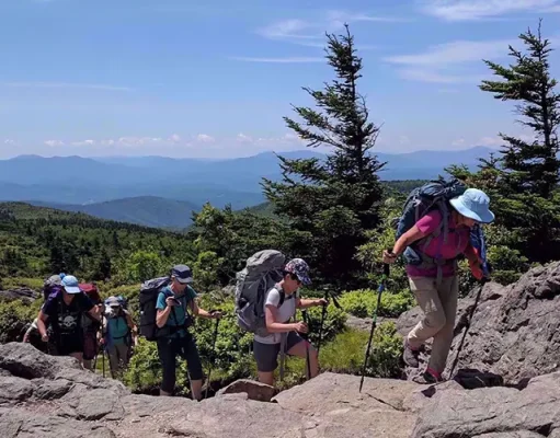5 Must-Have Items for Your Next Hiking Adventure A group of hikers with backpacks and trekking poles navigating rocky terrain on a sunny day with lush green trees and a mountainous backdrop.