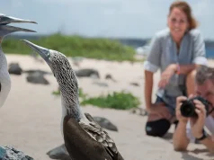 G Adventures adds 17 trips to its Geluxe premium active collection