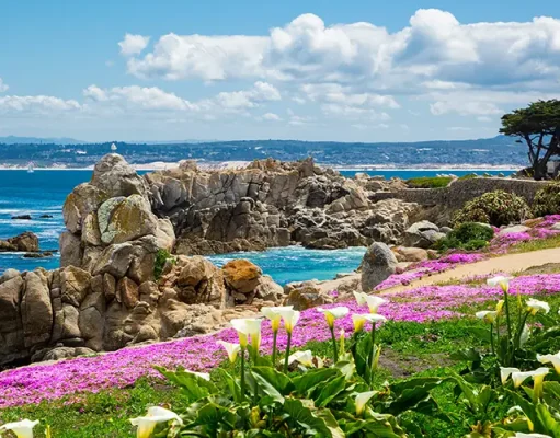 Springtime is the Best Time to Visit Monterey