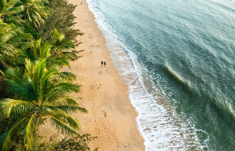 best beach in the world 2024 palm cove