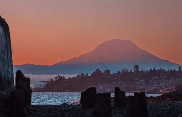 Mount Rainier, the Salish Sea, and the cities throughout Pierce County provide an almost aggressive amount of ethereal, photogenic beauty to travel your way through.
