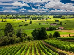 6 Must-Visit Wine Destinations for Enthusiastic Connoisseurs
