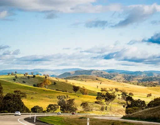 Capturing Australia’s Beauty: Creating Photogenic Road Trip Itineraries Open empty road surrounded by green hills, fields and farms in Australia. Road trip background