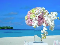 Budget-Friendly Wedding Venues: Hidden Gems in San Diego