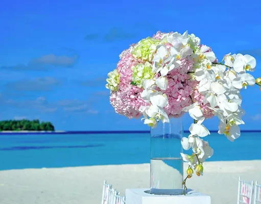 Budget-Friendly Wedding Venues: Hidden Gems in San Diego