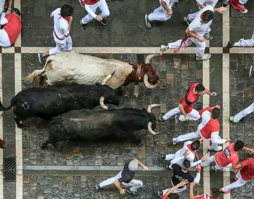 5 reasons why you should visit Pamplona