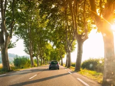 Avis Reveals Southern France’s Most Beautiful Hidden Gems France. Car driving on a country road lined with trees. Bright sunlight at sunset in evening. French road trip landscape.