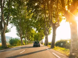 France. Car driving on a country road lined with trees. Bright sunlight at sunset in evening. French road trip landscape.