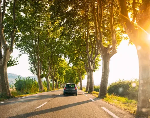 Avis Reveals Southern France’s Most Beautiful Hidden Gems France. Car driving on a country road lined with trees. Bright sunlight at sunset in evening. French road trip landscape.