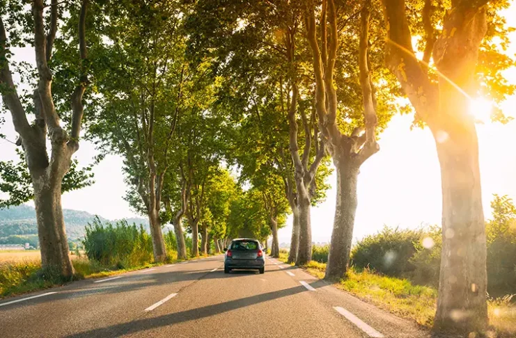 France. Car driving on a country road lined with trees. Bright sunlight at sunset in evening. French road trip landscape.