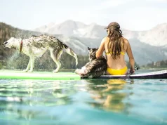 Fun Activities You Should Add To Your Bucket List