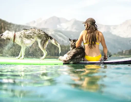 Fun Activities You Should Add To Your Bucket List