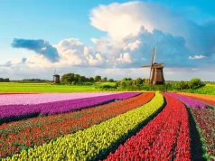 5 Beautiful Destinations to Visit This Spring