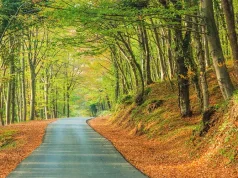 Discover The Top Accessible Hiking Trails İstanbul Has To Offer