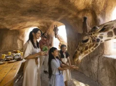 Get Inspired for Summer with 101 Abu Dhabi Do’s!