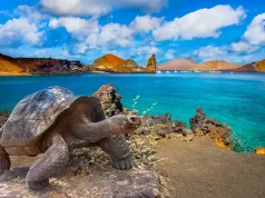 Explore the Galapagos Islands & Amazon Rainforest on a Unique 11-Day Tour