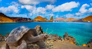 Galápagos Island Hopping Tips You Need to Know Before You Visit