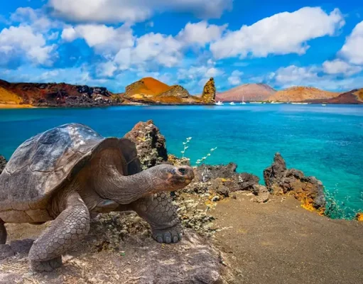 Explore the Galapagos Islands & Amazon Rainforest on a Unique 11-Day Tour