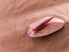 Travel: Bring Your Vibe on Your Vacay