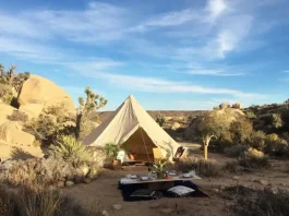 Luxury canvas bell tent set up for glamping in a desert landscape with sparse vegetation, including Joshua trees and shrubs, under a clear blue sky. In front of the tent, there’s a laid out picnic with cushions and a low wooden table, creating a cozy and inviting outdoor living space.