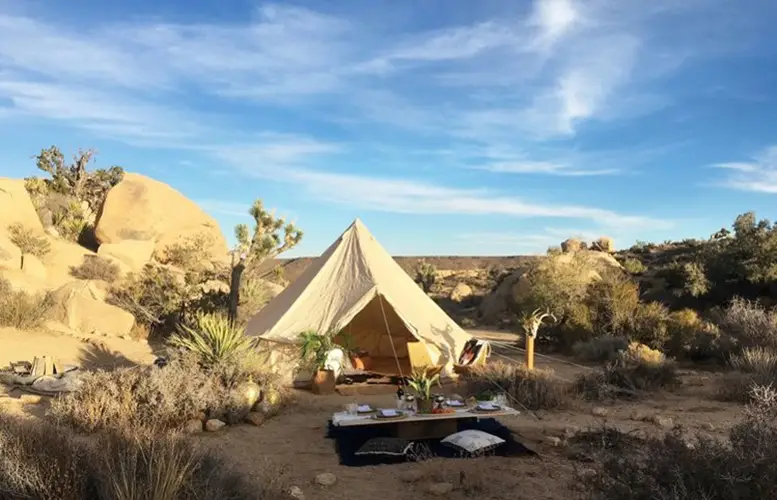 Luxury canvas bell tent set up for glamping in a desert landscape with sparse vegetation, including Joshua trees and shrubs, under a clear blue sky. In front of the tent, there’s a laid out picnic with cushions and a low wooden table, creating a cozy and inviting outdoor living space.