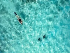 Night Diving + Underwater Photography at The Nautilus Maldives