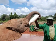 Voluntourism & Mission Trips to East Africa