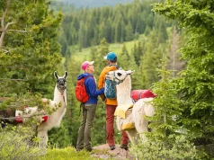 Discover Unique, Only-in-Vail Moments this Summer