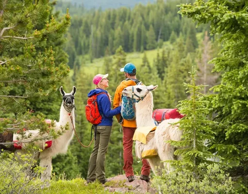 Discover Unique, Only-in-Vail Moments this Summer