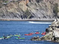 Your Go-To Checklist for Kayaking Along California’s Coast