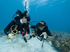 Are you going to do scuba diving for the first time? Let’s pack all the essentials!