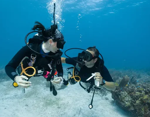 Are you going to do scuba diving for the first time? Let’s pack all the essentials!