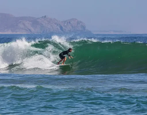 Adventure of a Lifetime in La Paz, Baja California Sur