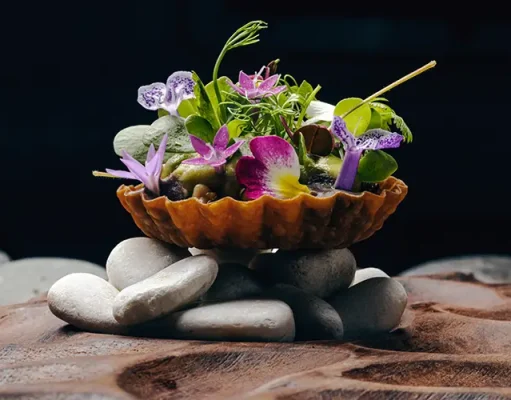 Ha’ Restaurant at Hotel Xcaret Mexico Earns Prestigious Michelin Star